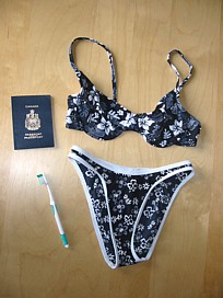 Mon bikini, ma brosse Ã¯Â¿Â½ dent.