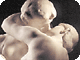 Donne un bec Ã¯Â¿Â½ mon oncle Rodin!