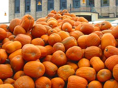 Fall at the Atwater Market- click to enlarge